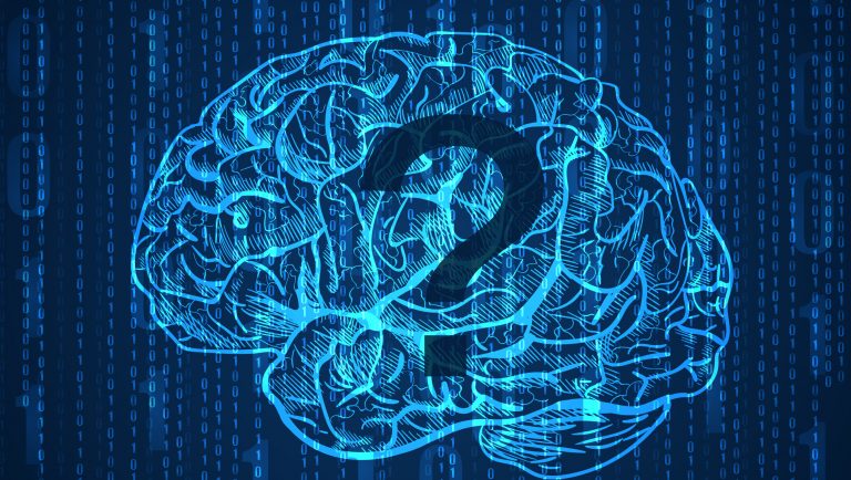 ¿Tenemos otro cerebro?
