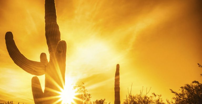 El calor es salud