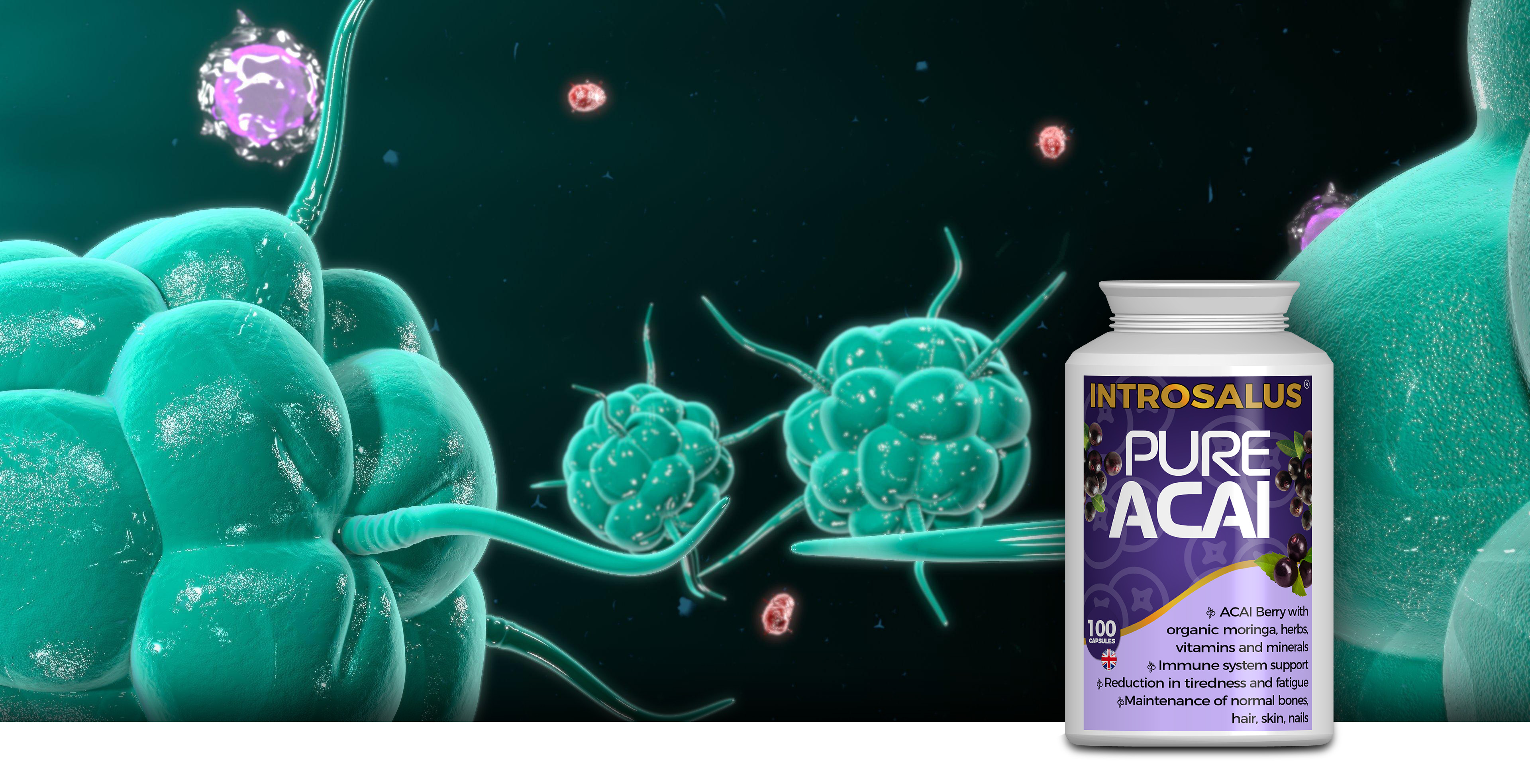 Producto Introsalus: Superfood