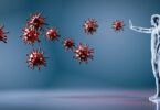 Sistema Inmunológico, immune system, Sistema immunitario